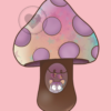 shroom shroom