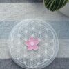 fleur Petits Bonheurs